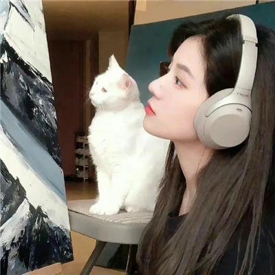 宝瓶奇谋